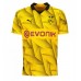 Borussia Dortmund Mats Hummels #15 Fotballklær Tredjedrakt 2023-24 Kortermet